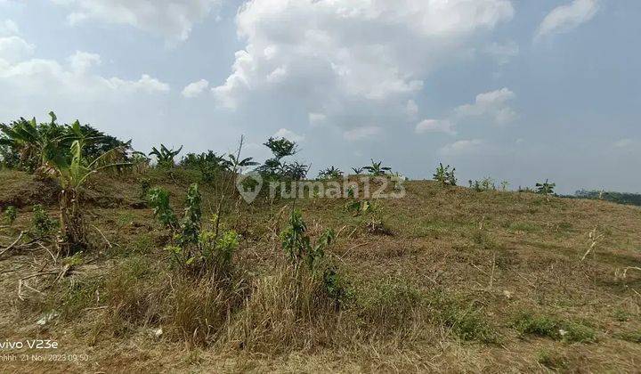 Tanah Komersil 450.000 m² Cocok Untuk Gudang Cikampek, Karawang 1