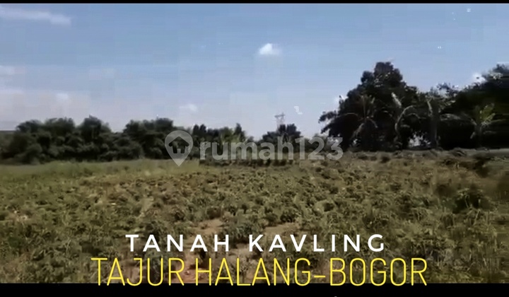 Dijual Tanah Tajur Halang 900m Dari Bakal Akses Tol Bojonggede Cocok Utk Developer Yt