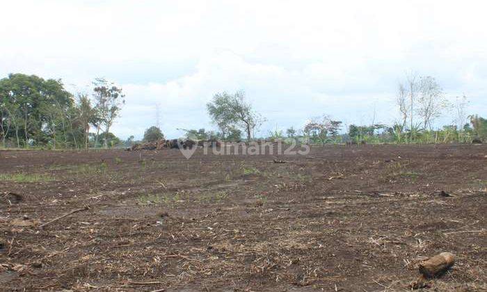 Luasan Ideal Standar Perumahan, Kavling Murah Area Bandara Yia 2