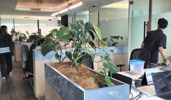 Office Prosperity Tower District 8 Scbd, Termurah Size 540Sqm Only One. 2