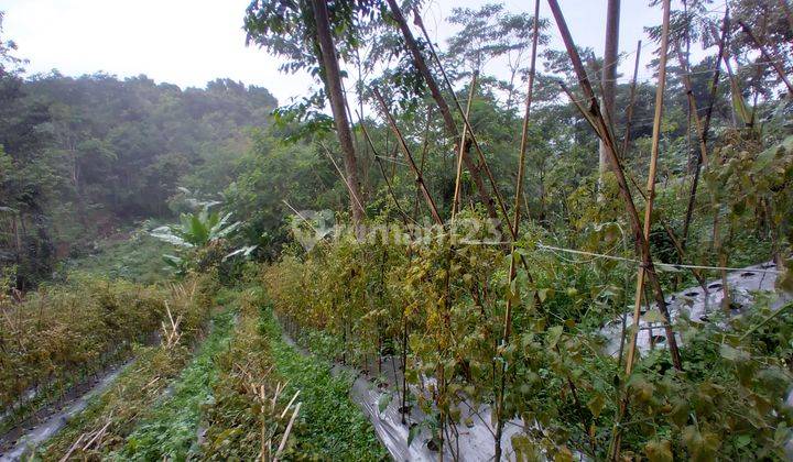 Tanah di Cikalongwetan, Bandung Barat 6.000 m² 3