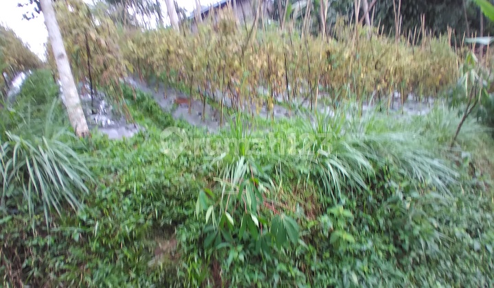 Tanah di Cikalongwetan, Bandung Barat 6.000 m² 4