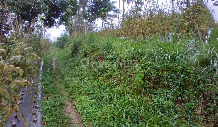 Tanah di Cikalongwetan, Bandung Barat 6.000 m² 7