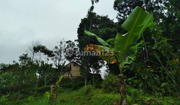 Tanah di Cikalongwetan, Bandung Barat 1 Ha 3