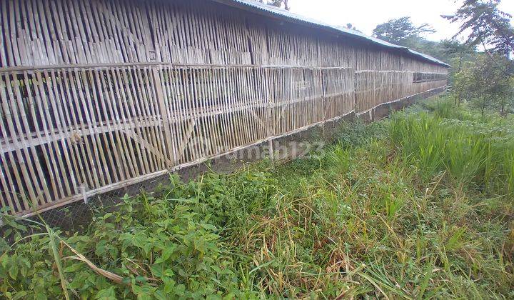 Tanah di Cikalongwetan, Bandung Barat 1 Ha 7