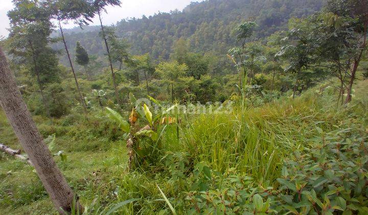 Tanah di Cikalongwetan, Bandung Barat 1 Ha 9