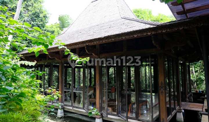 Classic Javanese Nuance House in Jagakarsa (Ad01) 2