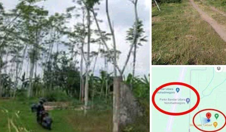 Di Jual Pekarangan Daerah Lengkokng  1