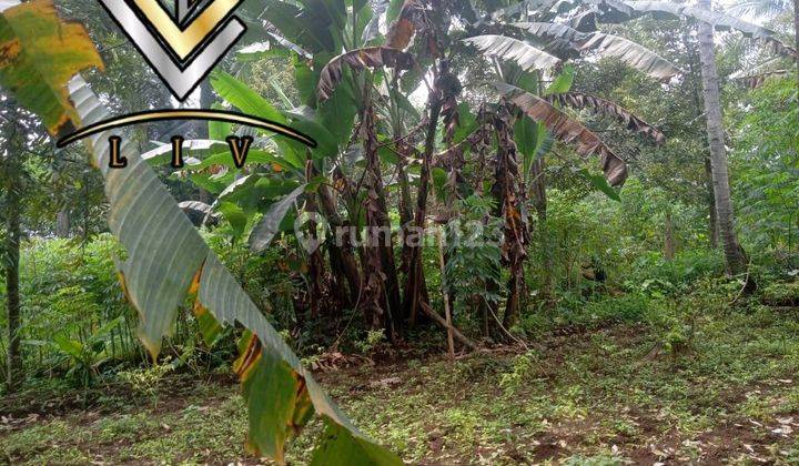 Di Jual Cepat Sat Set Tanah/lahan Murah Daerah Karampring 1
