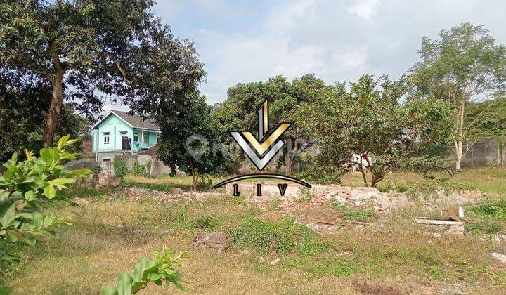 Tanah Dijual Luas 5000 m² Lokasi Strategis Area Kampus Jember  1