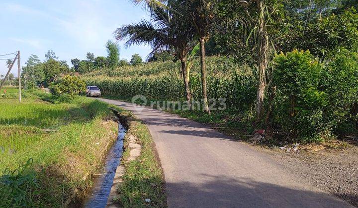 Di jual sawah lokasi dekat objek wisata  2