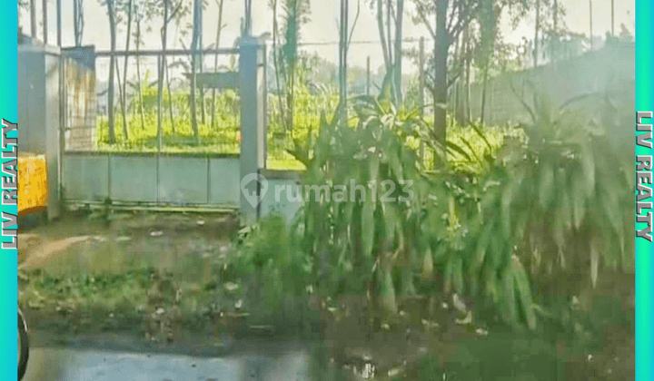 Dikontrakan tanah berpotensi buat usaha. 1