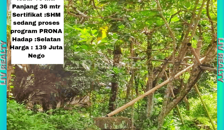 Dijuan tanah kebun murah, lingkungan asri dan nyaman. 1