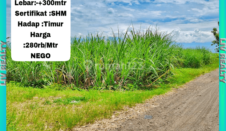 Dijual lahan kering, Jalanan aspal mulus. 1