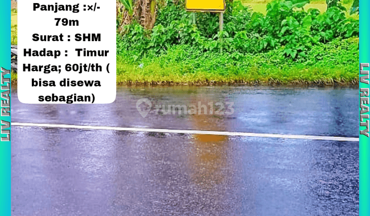 Disewakan tanah/sawah pinggir jalan strategis. 1