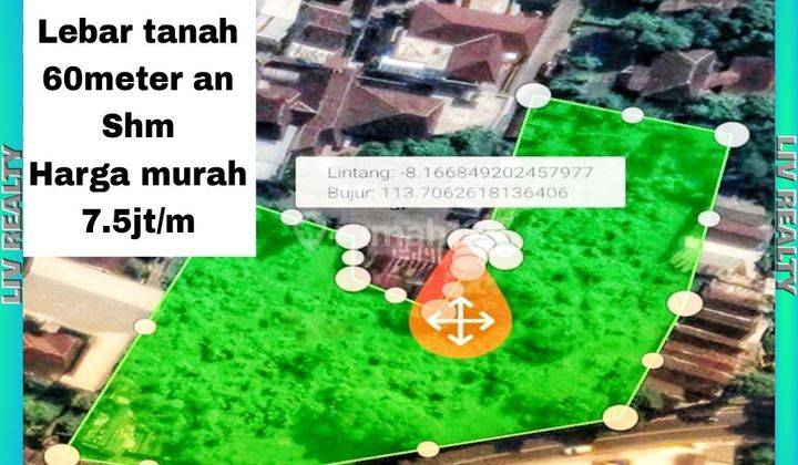 Jual Tanah Di Jember | Harga Terbaru 2024