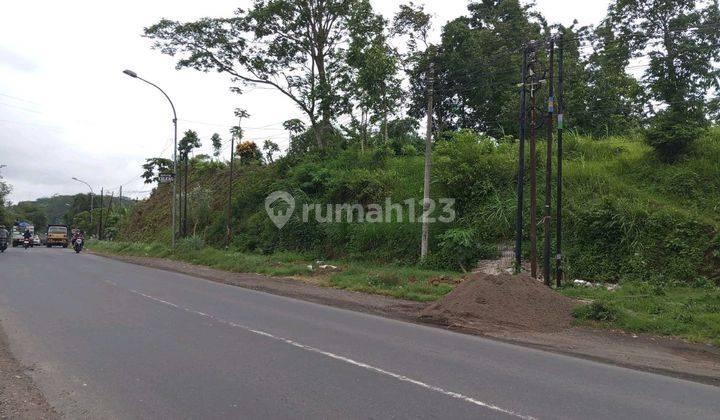 Dijual Tanah Lokasi Strategis Daerah Jember Bondowoso  2