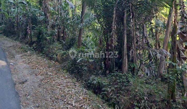 Tanah Dijual Di Pinggir Jalan Aspal. Cocok Utk Cluster Atau Jenis Usaha Lainnya. Lokasi Strategis Dan Prospek Untuk Kedepannya. 1