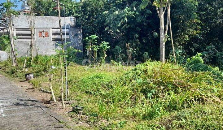 Tanah Dijual Di Area Kampus Jember Akses Mobil Prospek Kos-kosan Mahasiswa  1