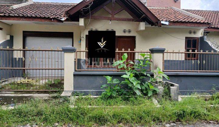 Disewakan Rumah Didaerah Tegal Besar  1