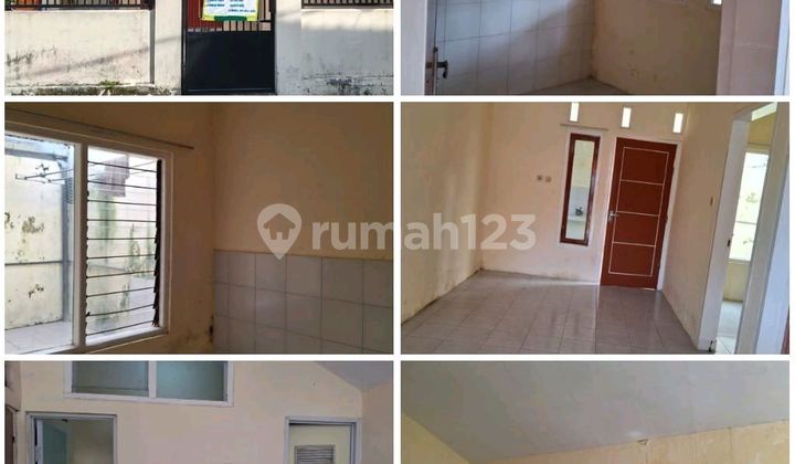 Dikontrakan Rumah Daerah Kaliwates 1