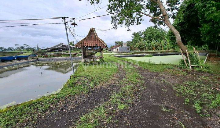 Dijual Lahan Ternak Lelelokasi Karanganyar,ambulu 2