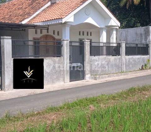 Disewakan Rumah Baru Siap Huni Dgn Lahan Yg Luas 1