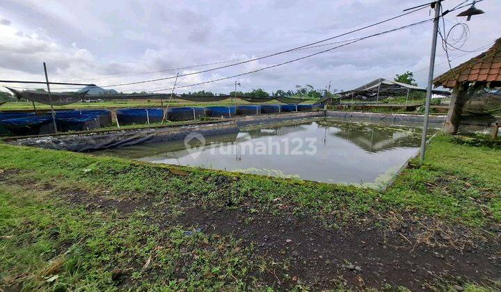 Dijual Lahan Ternak Lelelokasi Karanganyar,ambulu 1