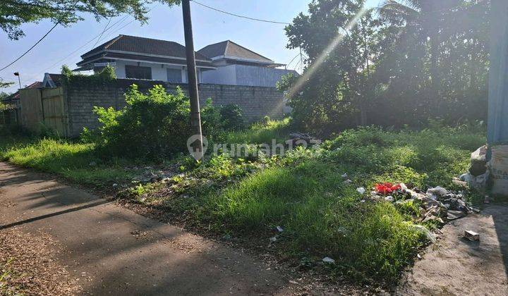 Dijual Tanah Murahlokasi Jl Ikan Paus 1
