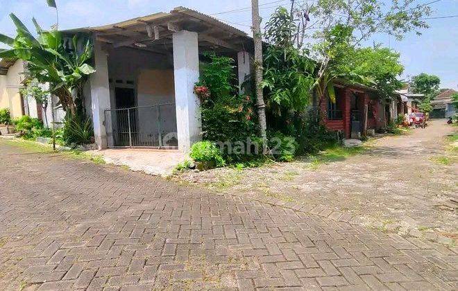 Di Jual Cepat Rumah Daerah Banyuwangi 1