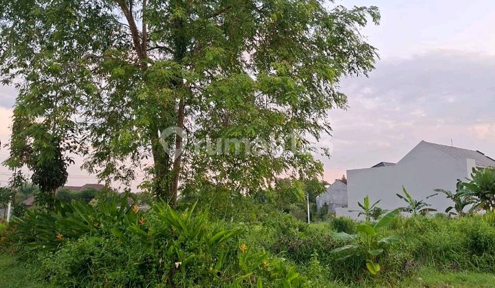 Tanah Pojok Strategis Kota Jember Lingkungan Aman Dan Nyaman  1