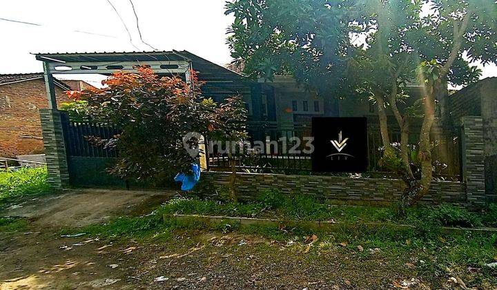 Rumah Dijual Di Dalam Perumahan Area Mangli Jember 1