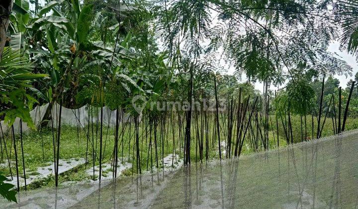 Disewakan,dijual,atau Gadensawah Luas 850m² 1