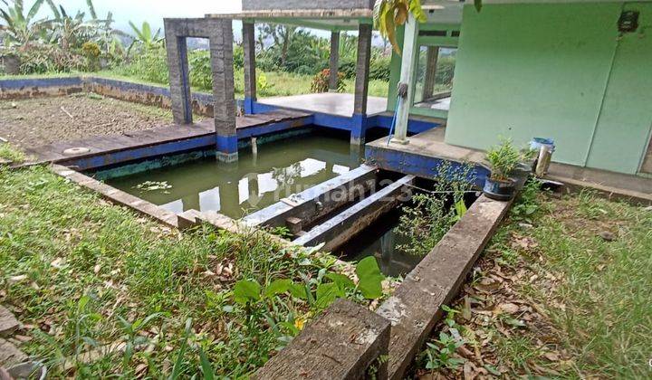 Pabrik di Cigombong Harga di Bawah Pasar dan Nego 19