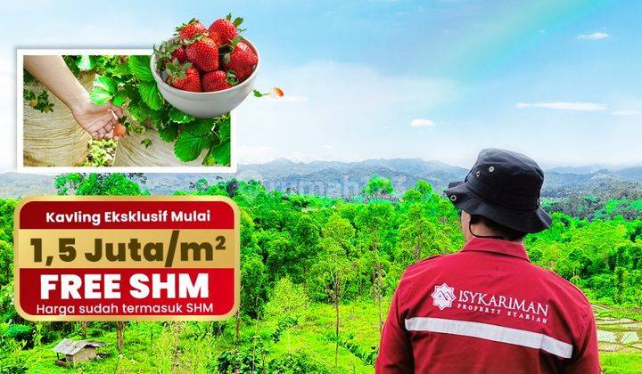 Kavling Bernilai Investasi Tinggi Free SHM di Ciwideuy.  3