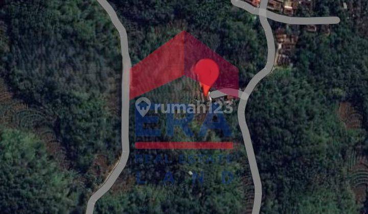 Tanah di Jalan Pringwulung , Gunung Kidul SHM 2.835 m² 1