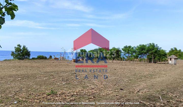 Tanah 300 m2 SHM Desa Obel Obel Sambelia, Lombok Timur 2