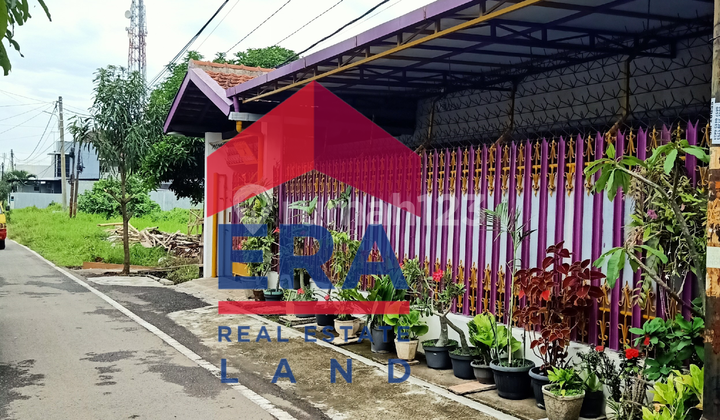 Rumah di Bunga Pinang Merah Malang , Malang Rumah di Bunga Pinang Merah Malang , Malang