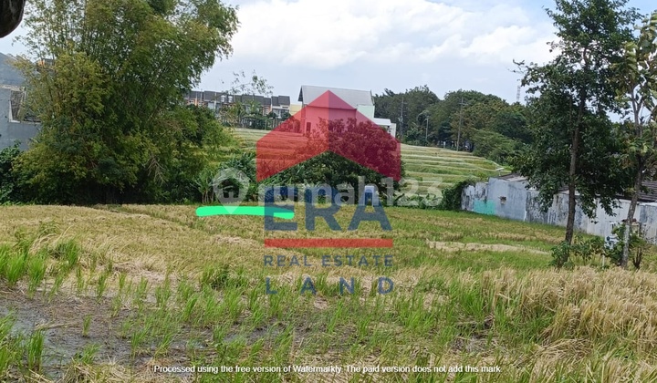 Land 3080 m2 Certificate of Ownership (SHM) for Gourami Fish in Tunjungsekar, Malang.