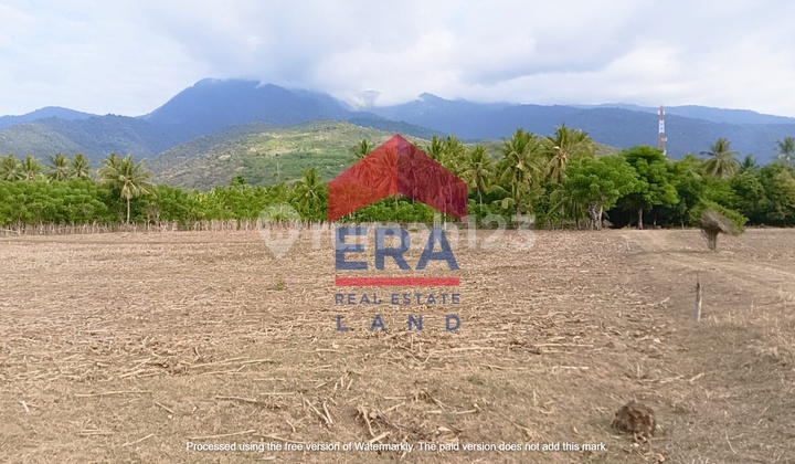 Tanah 300 m2 SHM Desa Obel Obel Sambelia, Lombok Timur 1