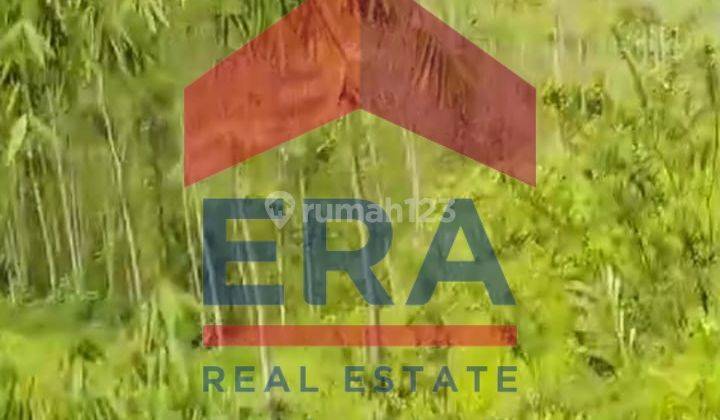 Tanah 13000 m2 Pujon, Kabupaten Malang 2