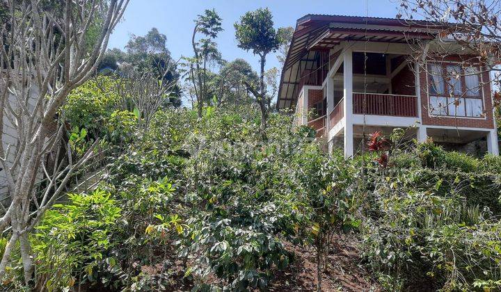 Dijual Cepat Villa Asri View Bagus Dekat Kawasan Wisata Ciwidey 2