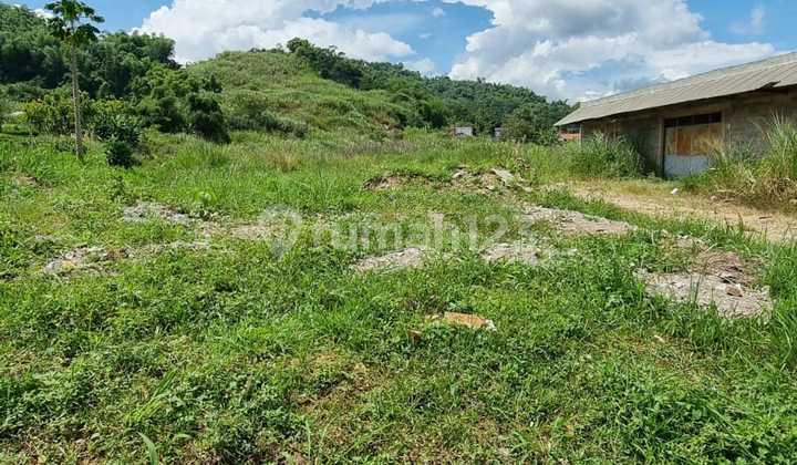 DIJUAL TANAH 3 HA PATARUMAN CIHAMPELAS COCOK UNTIUK PERUMAHAN GUDANG DLL 1