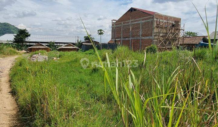 DIJUAL TANAH 3 HA PATARUMAN CIHAMPELAS COCOK UNTIUK PERUMAHAN GUDANG DLL 2