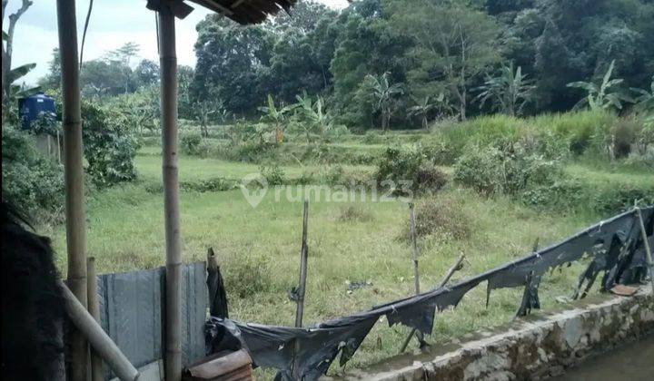 Dijual Tanah Sawah Produktif Di Pinggir Jalan Desa Kab. Bogor 2
