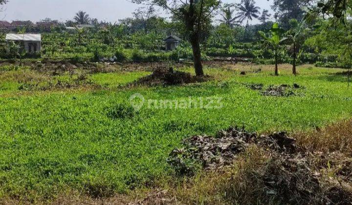 Dijual Tanah Sawah Produktif Di Pinggir Jalan Desa Kab. Bogor 4