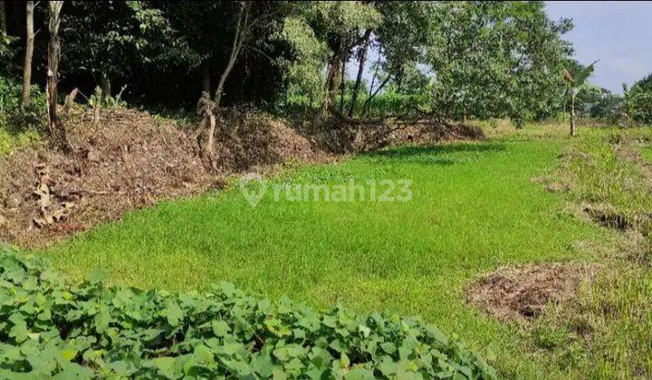 Dijual Tanah Sawah Produktif Di Pinggir Jalan Desa Kab. Bogor 6