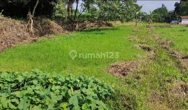 Dijual Tanah Sawah Produktif Di Pinggir Jalan Desa Kab. Bogor 7