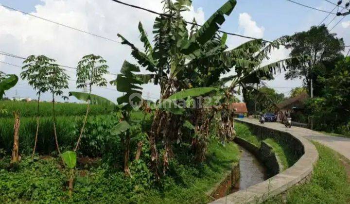 DIJUAL TANAH SAWAH STRATEGIS PINGGIR JALAN BESAR DI JATINANGOR 2