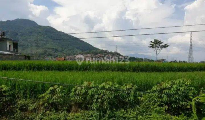 DIJUAL TANAH SAWAH STRATEGIS PINGGIR JALAN BESAR DI JATINANGOR 1